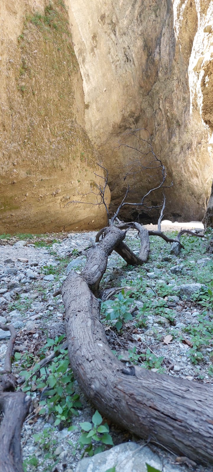 Zen.nl, Zen, meditatie, leren mediteren, foto